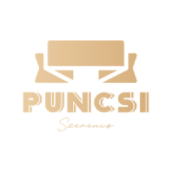 puncsi.hu logo